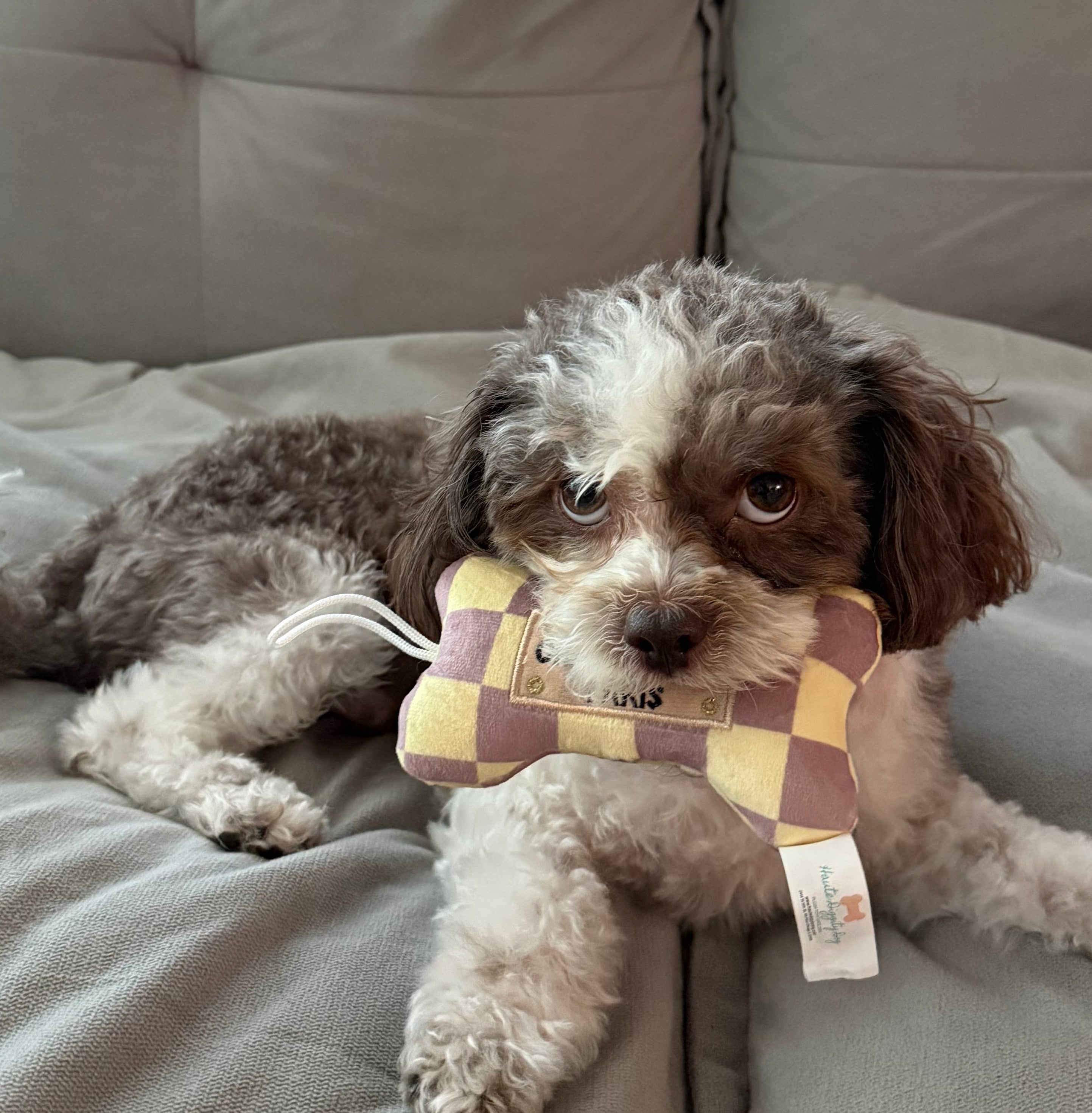 Chewy Vuitton Toy - Small