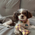 Chewy Vuitton Toy - Small